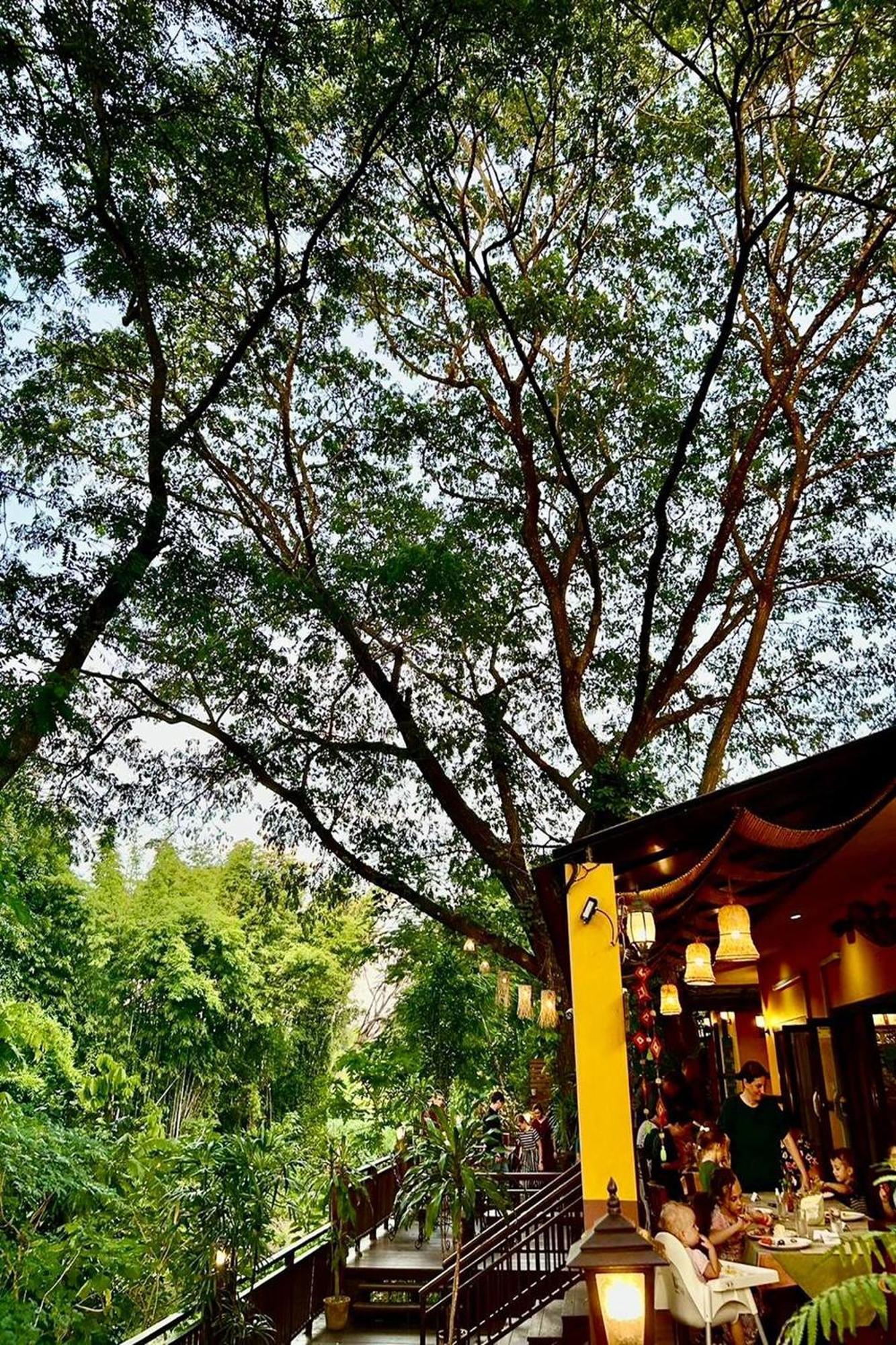 Papai Country Lodge Sha Ban Mae Pong Exteriér fotografie